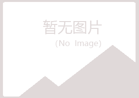 偃师初夏材料有限公司